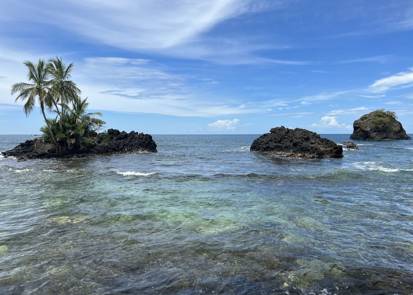 Palm-topped rock islets off a reef shoreline